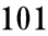 101