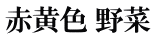 赤黄色 野菜