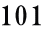 101